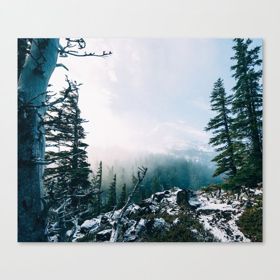 Winter Peace Canvas Print