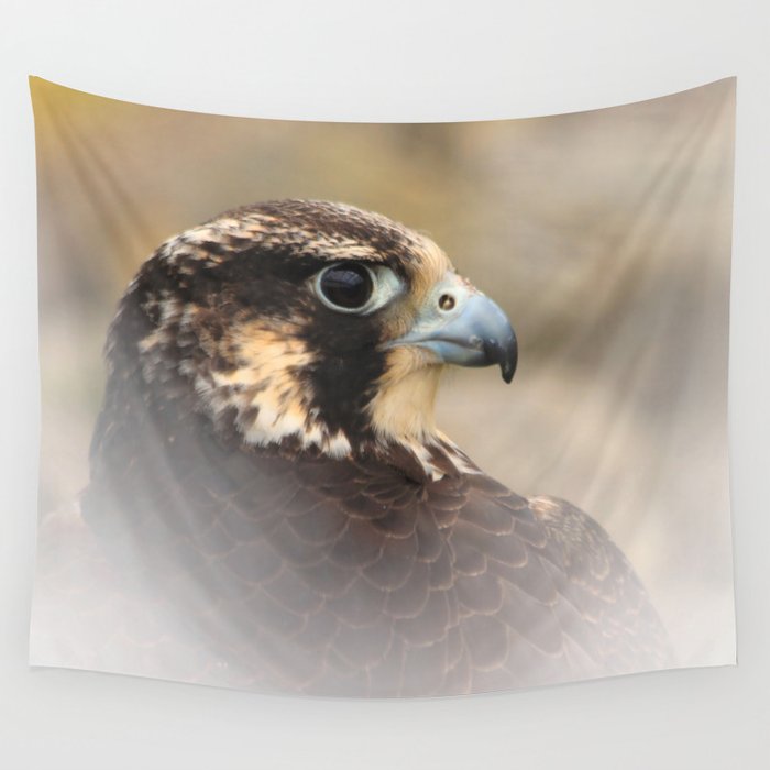 Vignetted Profile of a Peregrine Falcon Wandbehang