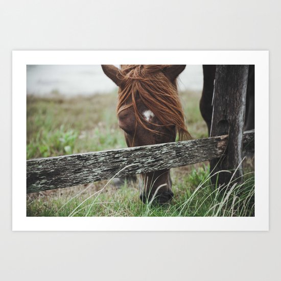 pony Art Print