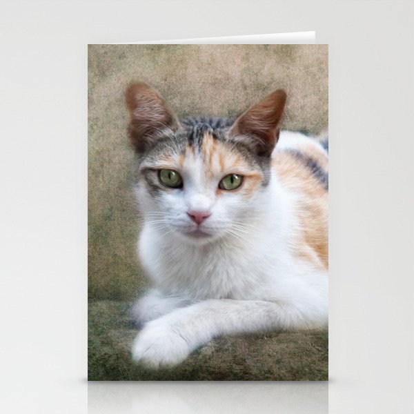 kitty cat Stationery Cards