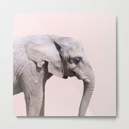 Elephant Pink Sunset Metal Print | Animalprints, Elephantportrait, Pinkprints, Trendy, Elephantface, Modern, Elephantart, Elephant, Tropical, Boho 