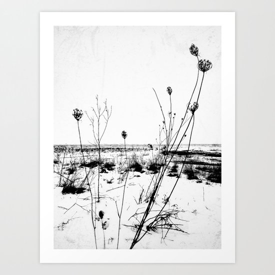 | the desolation flowers | Art Print