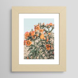 Cholla, Orange Flowering Cactus Framed Art Print