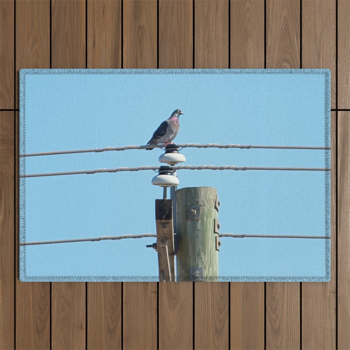 Pigeon on a Pole Outdoor Rug
