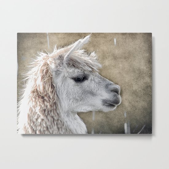 She walks in Beauty Metal Print