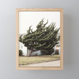 Windy Tree Framed Mini Art Print