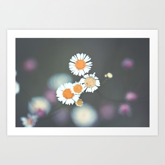 Retro Daisy Art Print