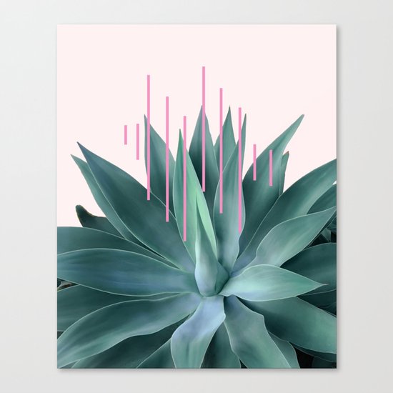 Agave geometrics II - pink Canvas Print