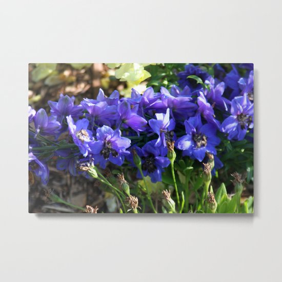 Spring flowers Metal Print