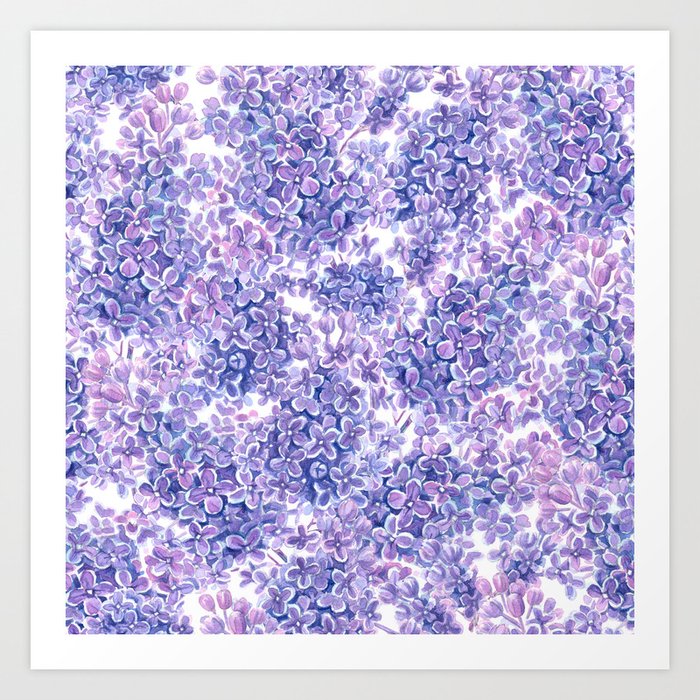 Violet watercolor lilac flowers  Art Print