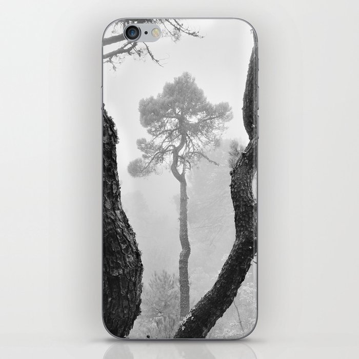 "Looking for the sky..." Follow your dreams iPhone Skin