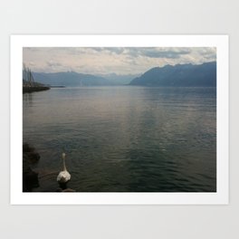 Swan and baby on water, Lucerne photography series, no. 1 Art Print
