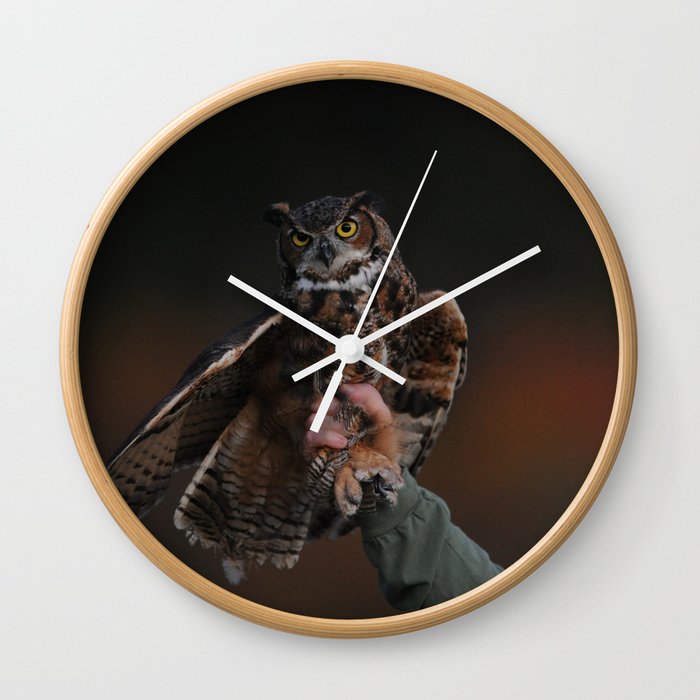 owl bird photo Wall Clock