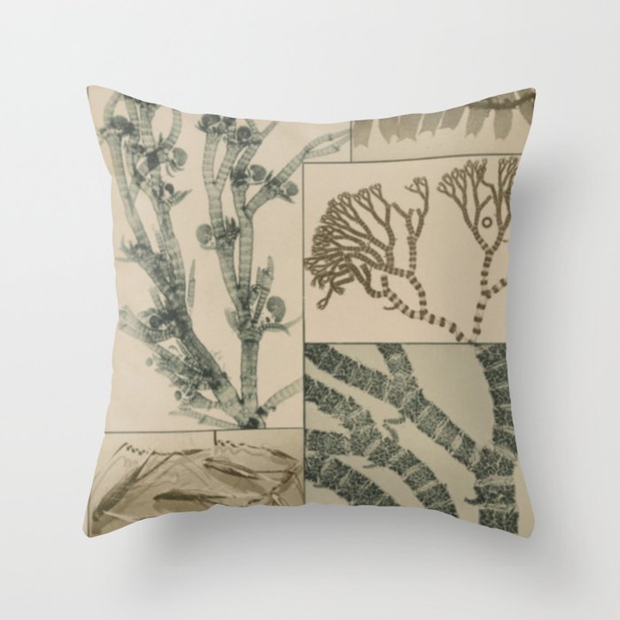 Patterns In Nature Throw Pillow