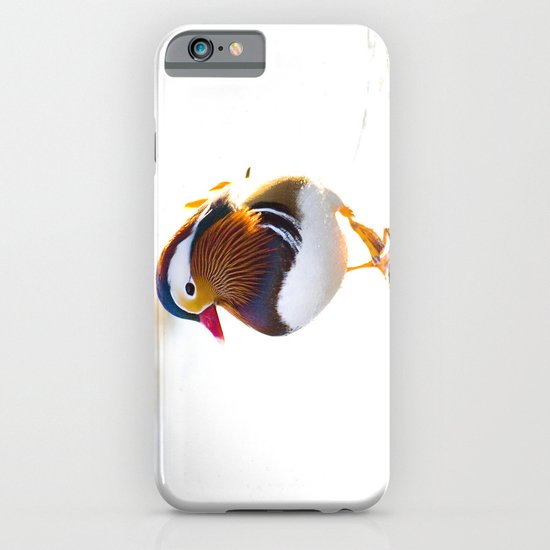 Mandarin Duck iPhone & iPod Case