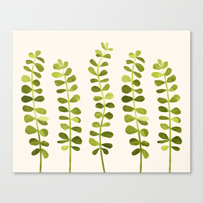 Eucalyptus Sprouts - Cute Plant Illustration Canvas Print
