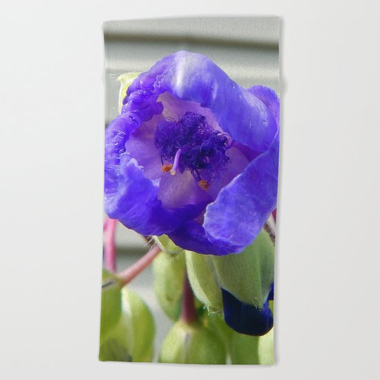 Spiderwort Flower Beach Towel