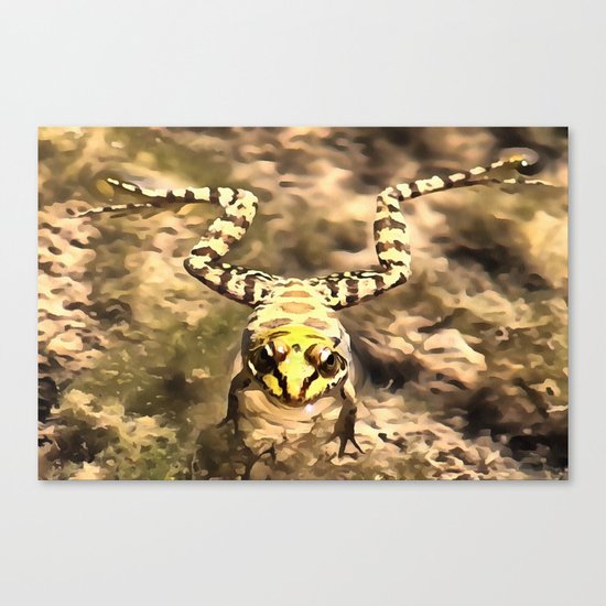 Swimming Frog Canvas Print