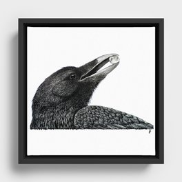 Raven & the Moon Framed Canvas