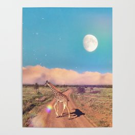 Girafe In Serengeti  - Rising Moon  Poster