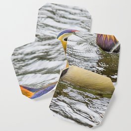 Mandarin Duck Coaster | Colourful, Mandarin, Drake, Color, Colorful, Duck, Digital, Photo, Bird 