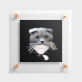 Spiked Grey and White Cat Floating Acrylic Print