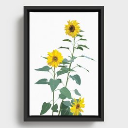 Native Southwest Sunflowers Framed Canvas