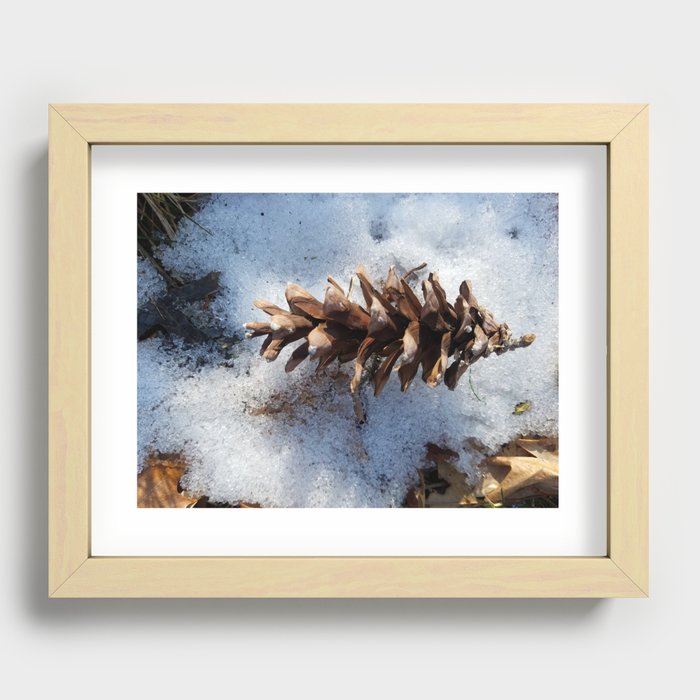Pinecone in the snow Recessed Framed Print
