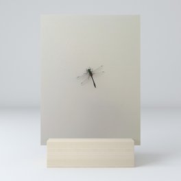 Muskoka Dragonfly Mini Art Print