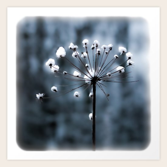 in the snow Art Print
