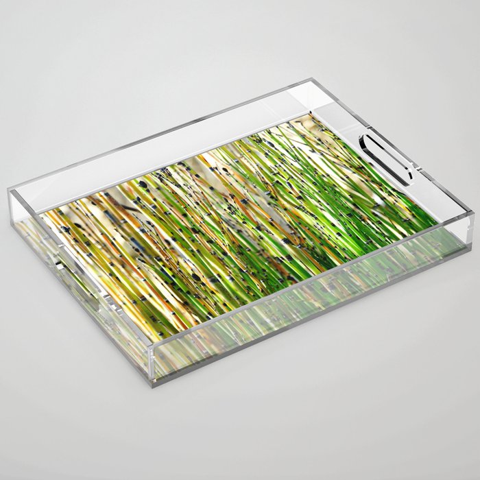 Horsetail plant pattern | Background of long stems | Green Abstract Nature photography Acrylic Tray