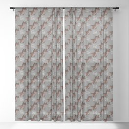 Carnotaurus  Sheer Curtain