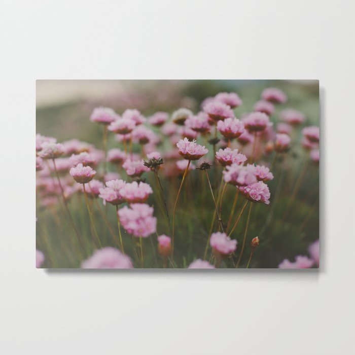 Pale Pink Flowers Metal Print