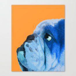 English bulldog portrait. Yellow pop art. Canvas Print