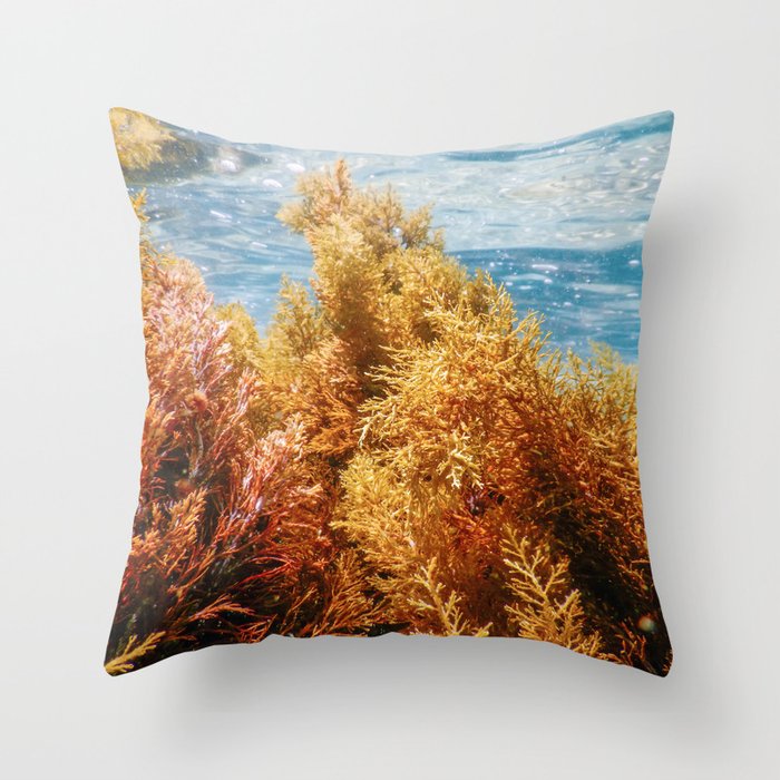 Forest of Seaweed, Seaweed Underwater, Seaweed Shallow Water near surface Throw Pillow