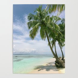 Palms And Beach Poster