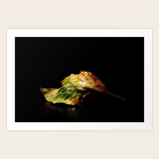 flora Art Print