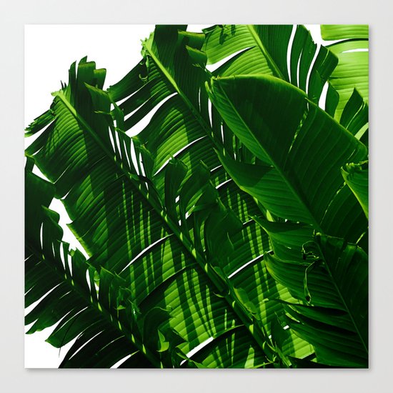 Green Me Up Canvas Print
