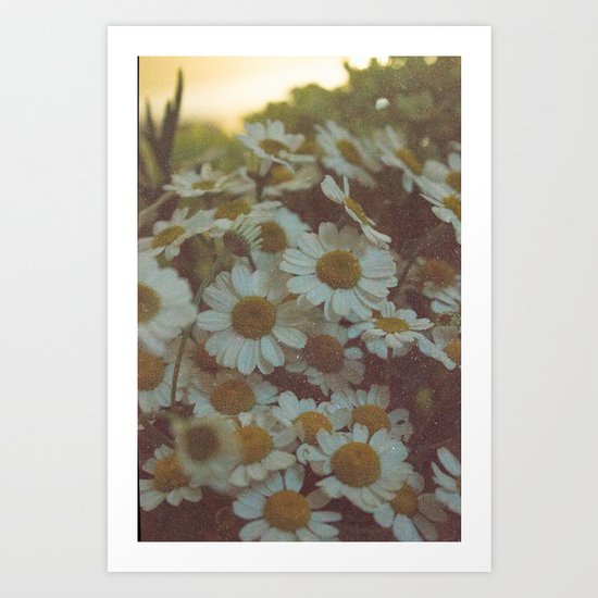 oh daisy Art Print