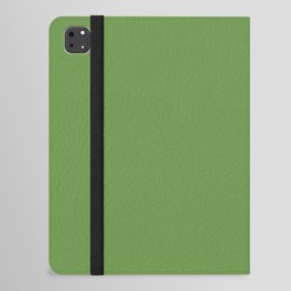 Lattice Green iPad Folio Case