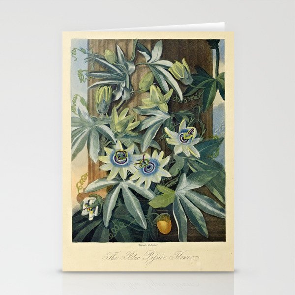 Blue Passionflower from "The Temple of Flora," 1812 (benefitting The Nature Conservancy) Stationery Cards