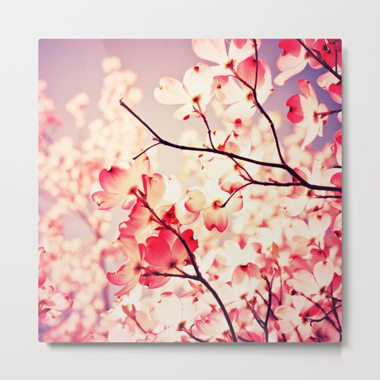 Dialogue With the Sky Metal Print