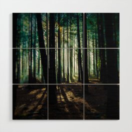  Forest  Wood Wall Art
