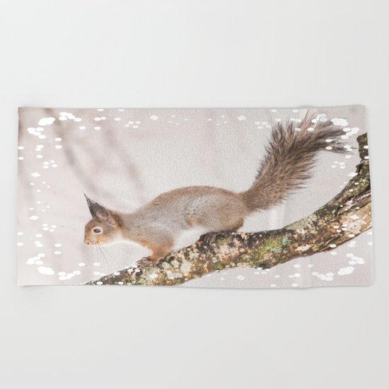 Little squirrel jumping on the branch Beach Towel