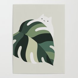Cat and Plant 12B Poster