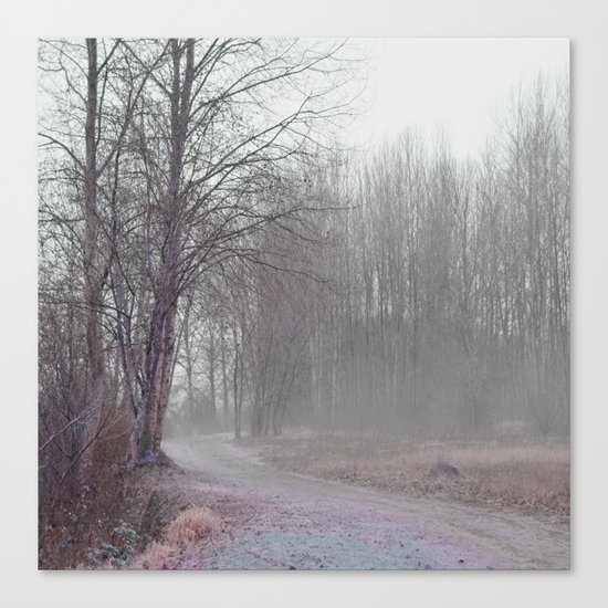Walk in the Foggy Morning Canvas Print