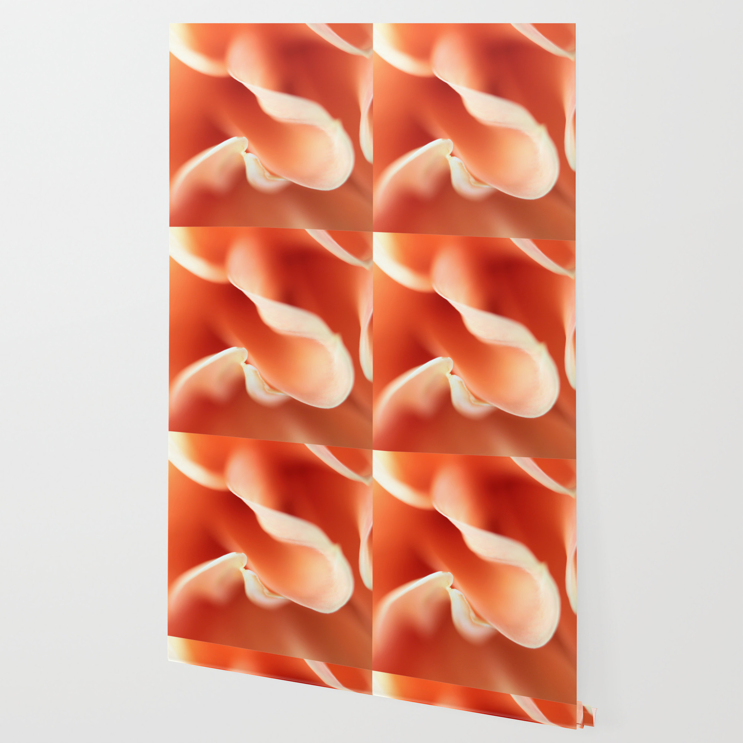 Salmon Coloured And Soft Macro Flower Wallpaper By Loroartpictures