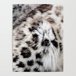 Snow Leopard Poster