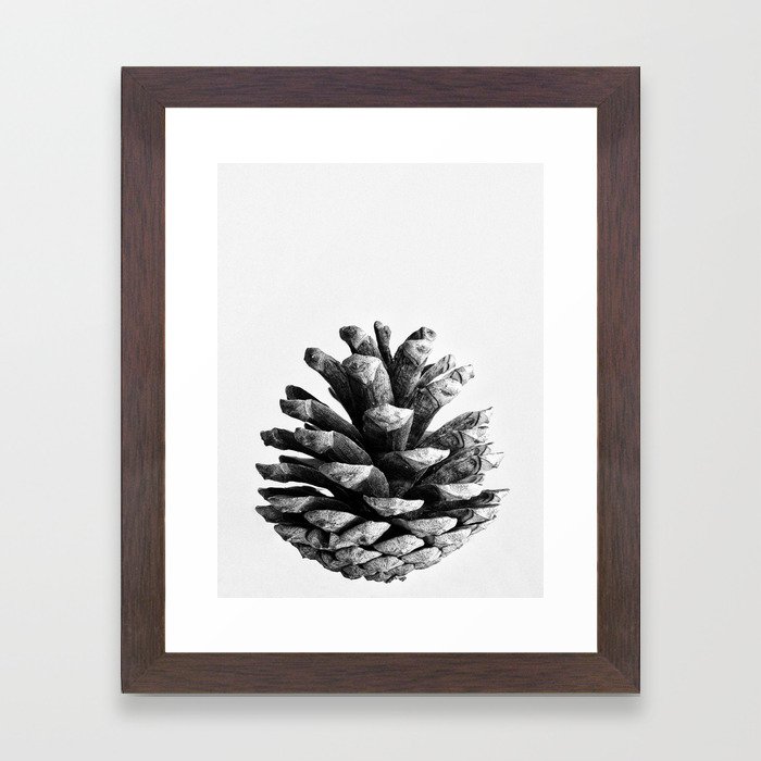 pinecone nature plants Framed Art Print