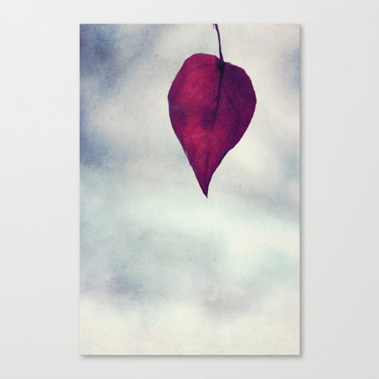 is gone.. Canvas Print